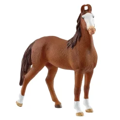 HORSE CLUB Marwari Merrie 14897>Schleich Outlet