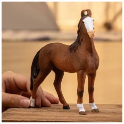 HORSE CLUB Marwari Merrie 14897>Schleich Outlet