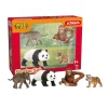 WILD LIFE Azie Starter Set 42736-schleich Best