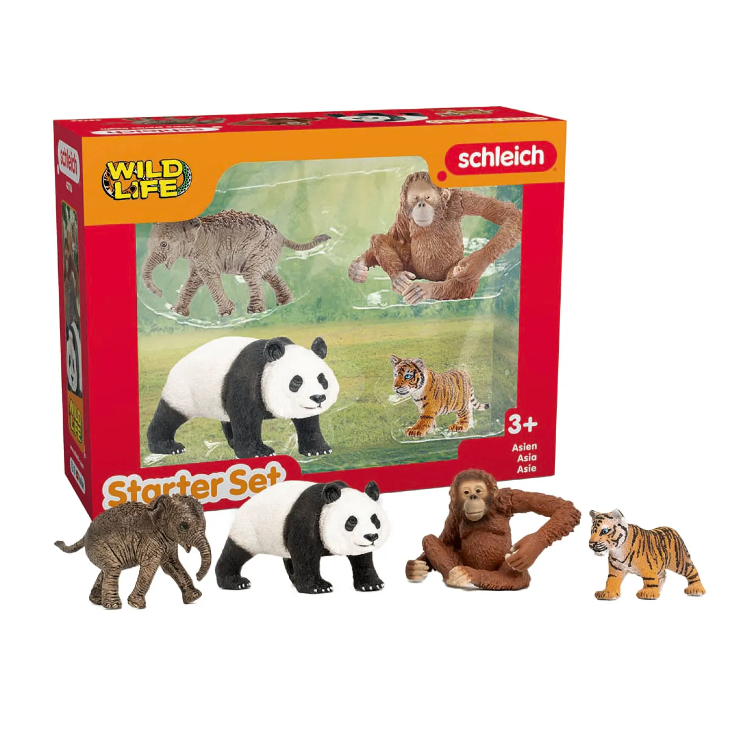 WILD LIFE Azie Starter Set 42736-schleich Best