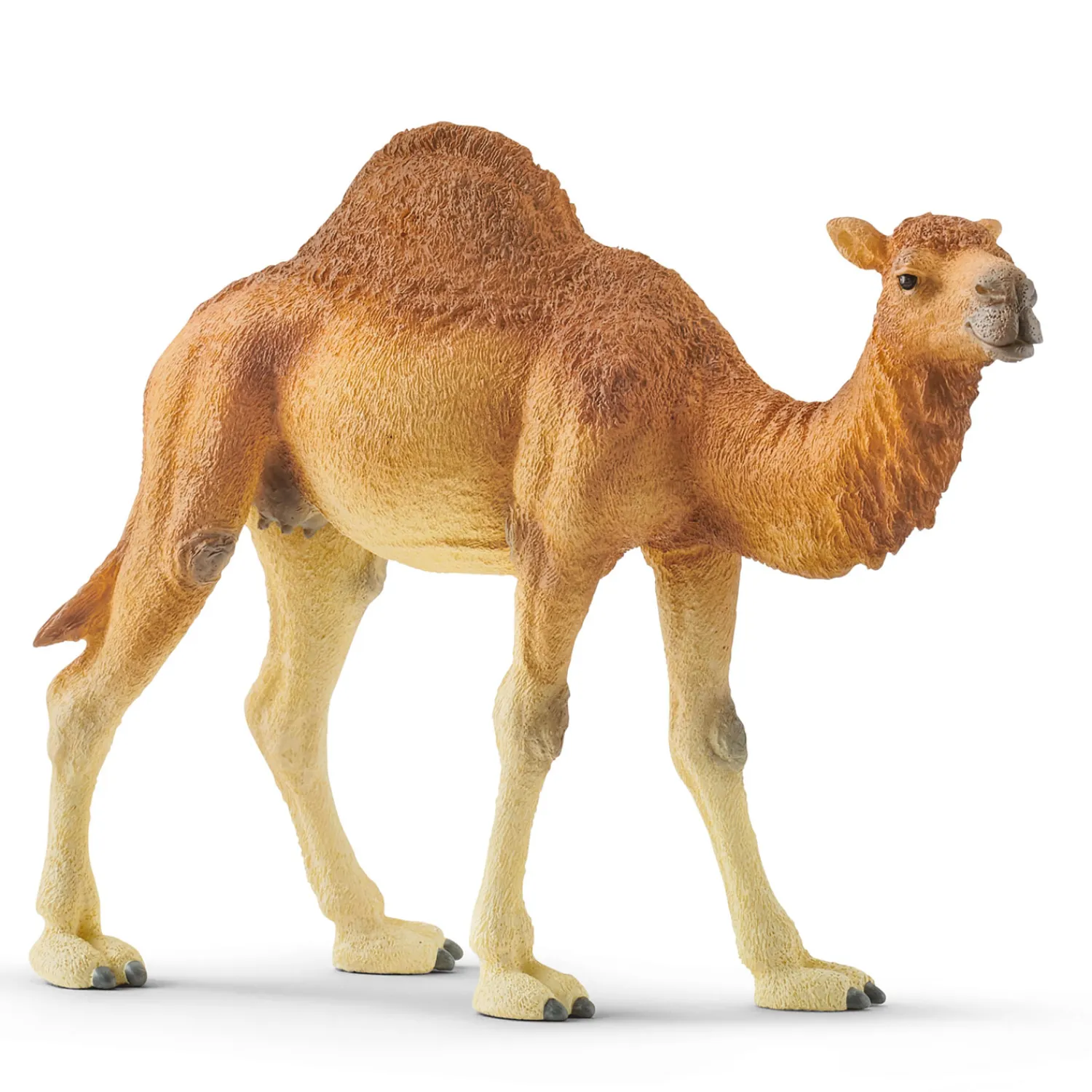 Schleich WILD LIFE Dromedaris 14832 Clearance
