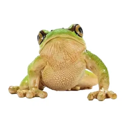schleich WILD LIFE Europese Boomkikker 14882 Outlet