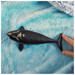 schleich WILD LIFE Noordkaper 14878- New