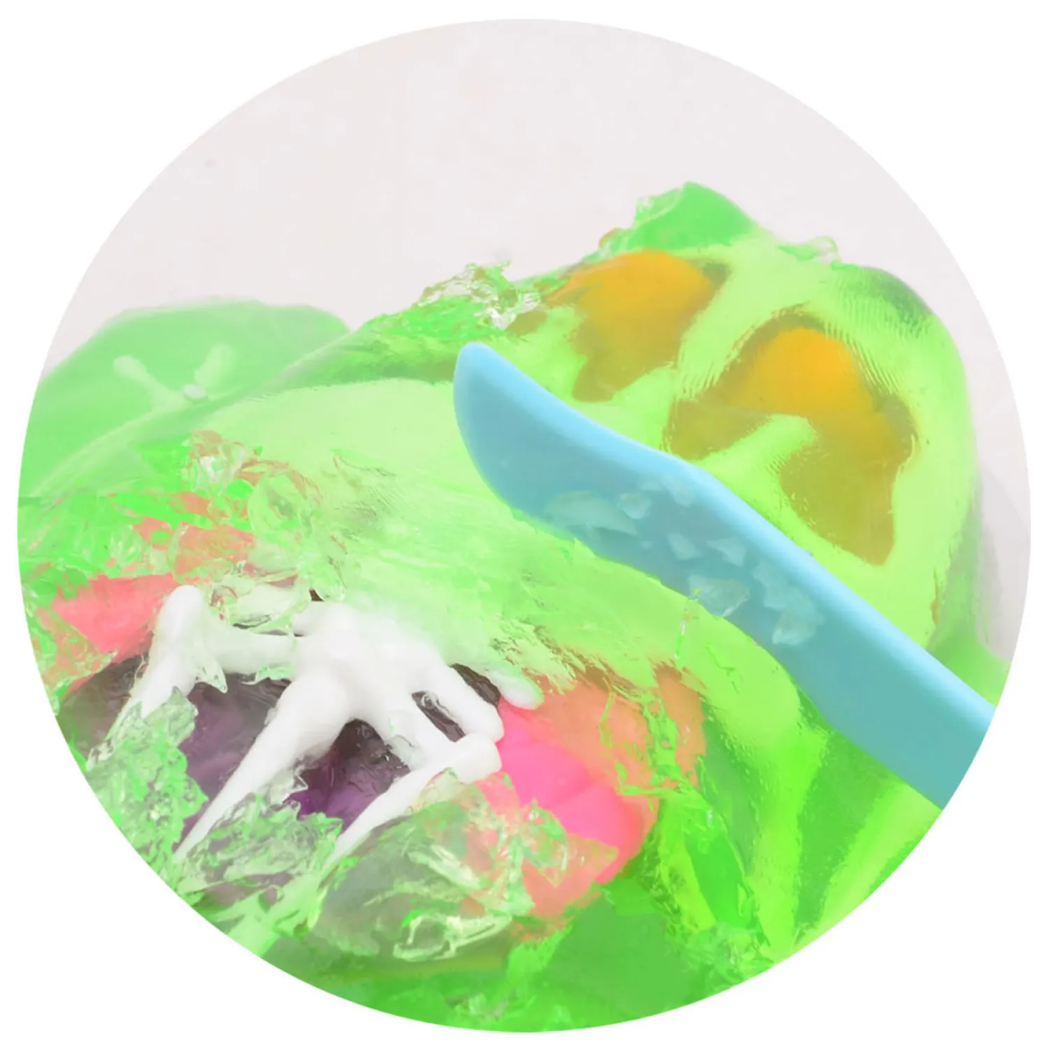 Science Explorer Kikker Anatomie Slijm>Johntoy