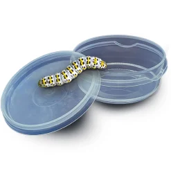 Explore - Insecten Explorer><noscript><img width=