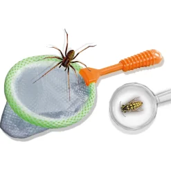 Explore - Insecten Explorer><noscript><img width=