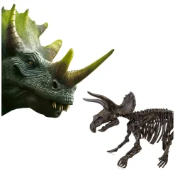 SES Explore Dino en Skelet Opgraven 2in1 - Triceratops New