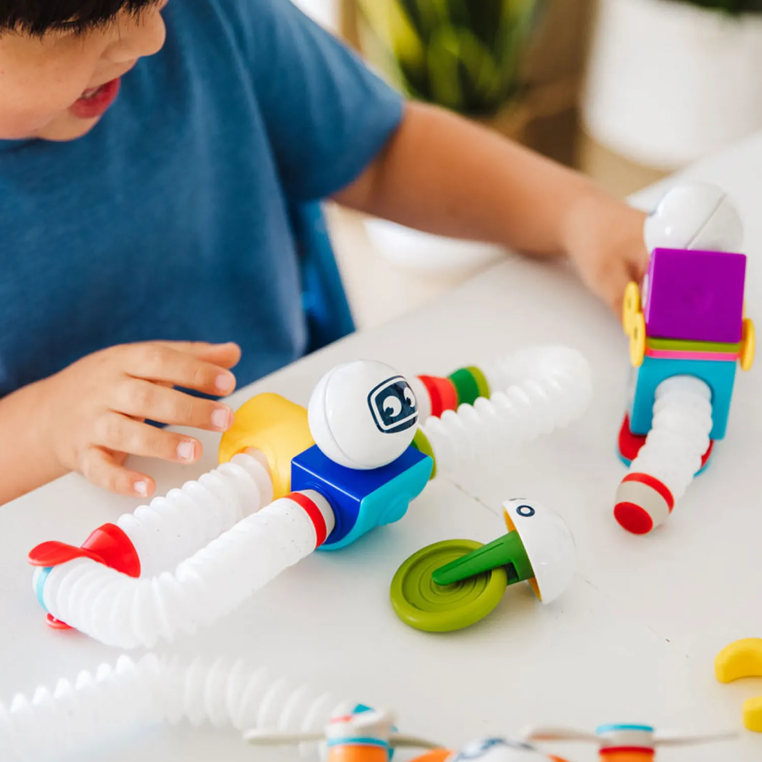 Roboflex, 12 dlg.-Smartmax Best