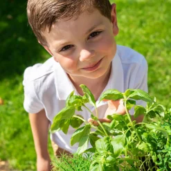 Garden Kitchen Outdoor Tuinkeuken><noscript><img width=