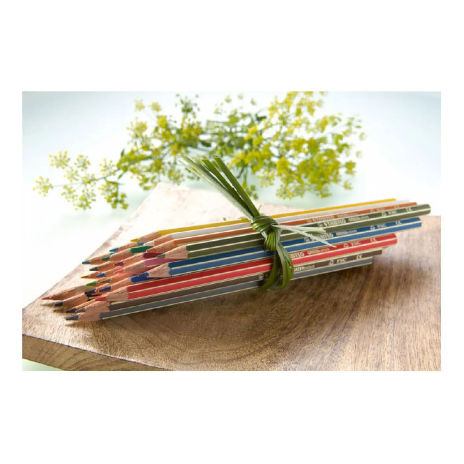 GREENcolors - Kleurpotloden - ARTY - Set 12 Stuks-Stabilo Outlet