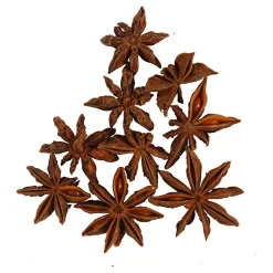 Ster Anijs, 10st.-Creativ Company Clearance