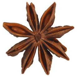 Ster Anijs, 10st.-Creativ Company Clearance