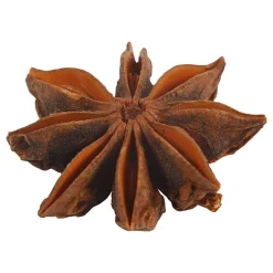 Ster Anijs, 10st.-Creativ Company Clearance