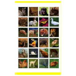 Stickerpret - Ik leer de dieren kennen><noscript><img width=