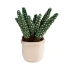Take Me Home Knuffel Plant - Aloë Vera , 12-17cm Discount