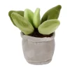 Knuffel Plant Pluche - Vetplant, 12-17cm-Take Me Home Best