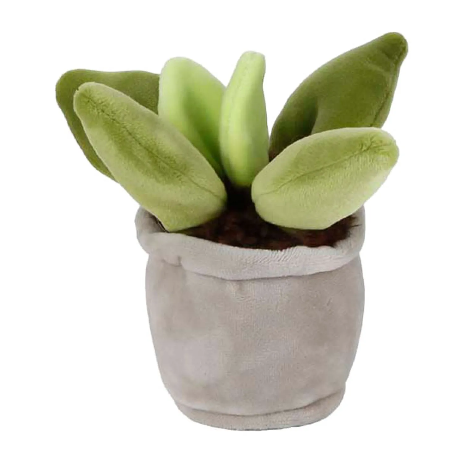Knuffel Plant Pluche - Vetplant, 12-17cm-Take Me Home Best