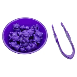 Tel- en Sorteerset met Beren - incl. 6 Bakjes Outlet