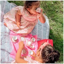 Tidlo Picnickset in Roze Koffer Online