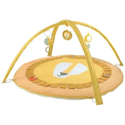 Activiteiten Speelmat  - Mr. Lion-Trixie Best