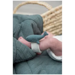 Armbandrammelaar - Walvis-Trixie Hot