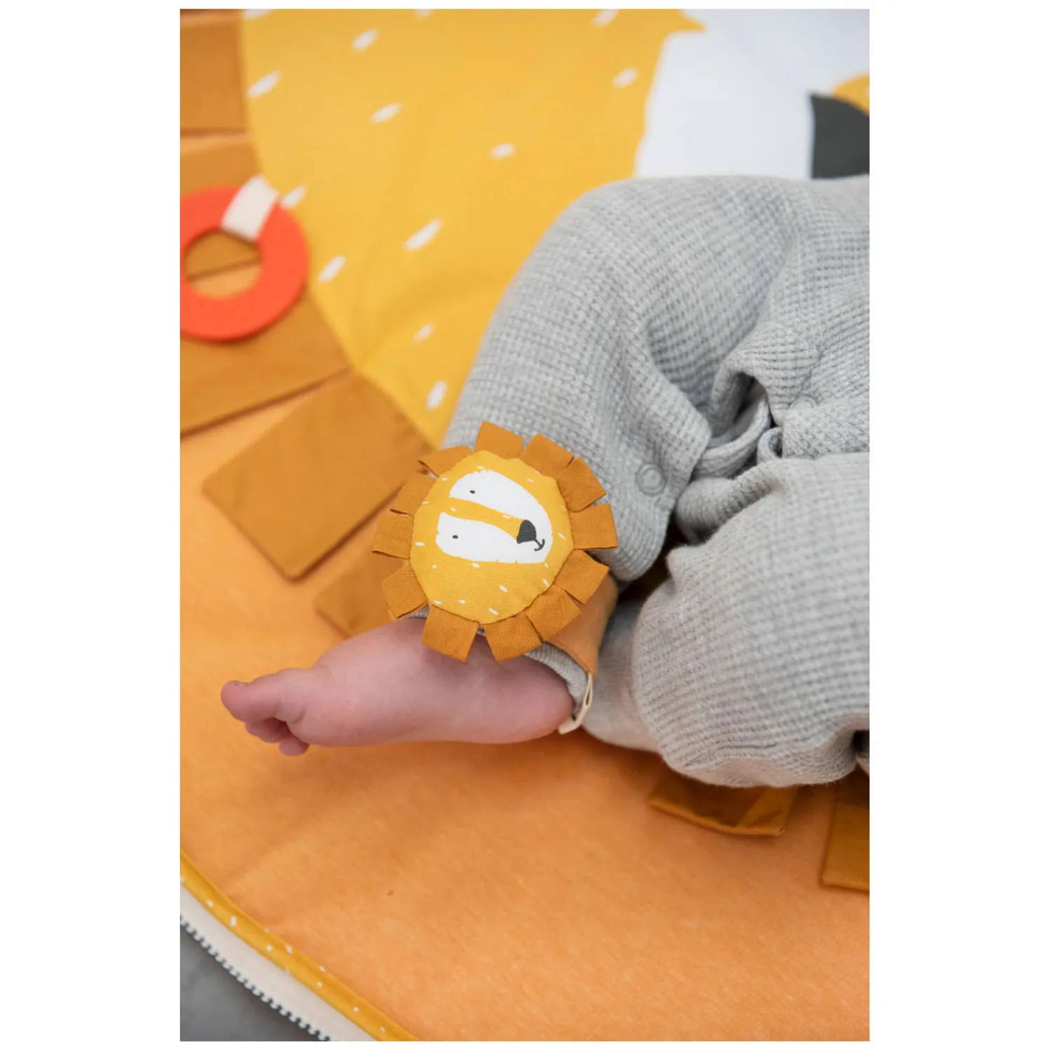 Armbandrammelaar - Mr. Lion>Trixie Best