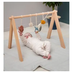 Houten Babygym Kameel, Reiger, Walvis>Trixie Hot