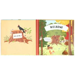 Boek Specials Nederland BV Uitklap- en Flapjesboek Binnen in de Boom Sale