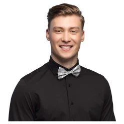 Vlinderstrik Glitter Zilver>Boland Hot