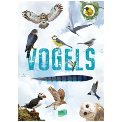 Vogels - Gids en Natuurdagboek voor Kinderen>Rebo Publishers Clearance