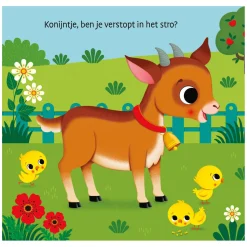 Waar Is het Konijntje? Flapjesboek-Deltas