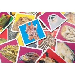 Wildlife Memo>Tactic Sale