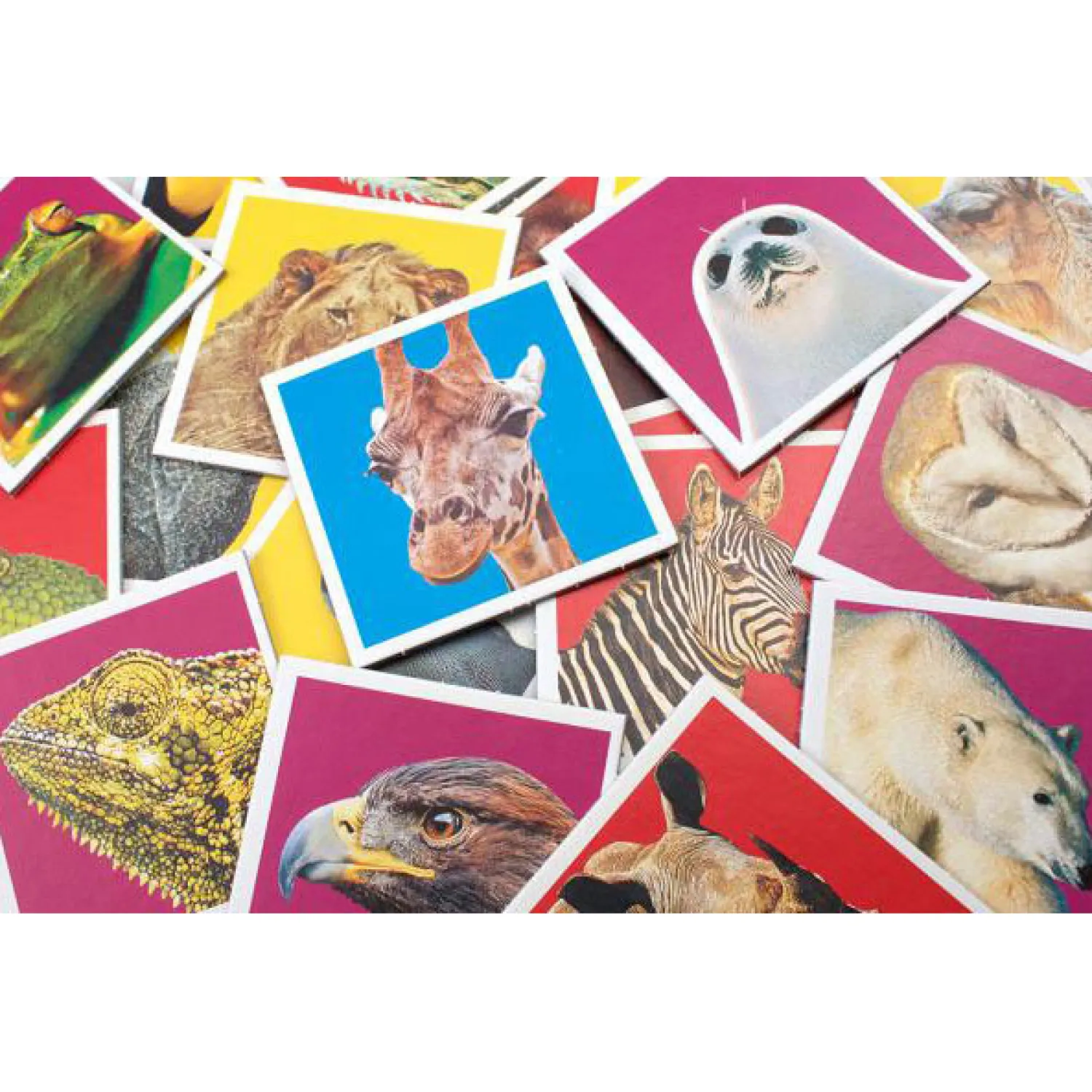 Wildlife Memo>Tactic Sale