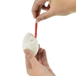 World of Dinosaurs Uitgraafset Dino Ei><noscript><img width=