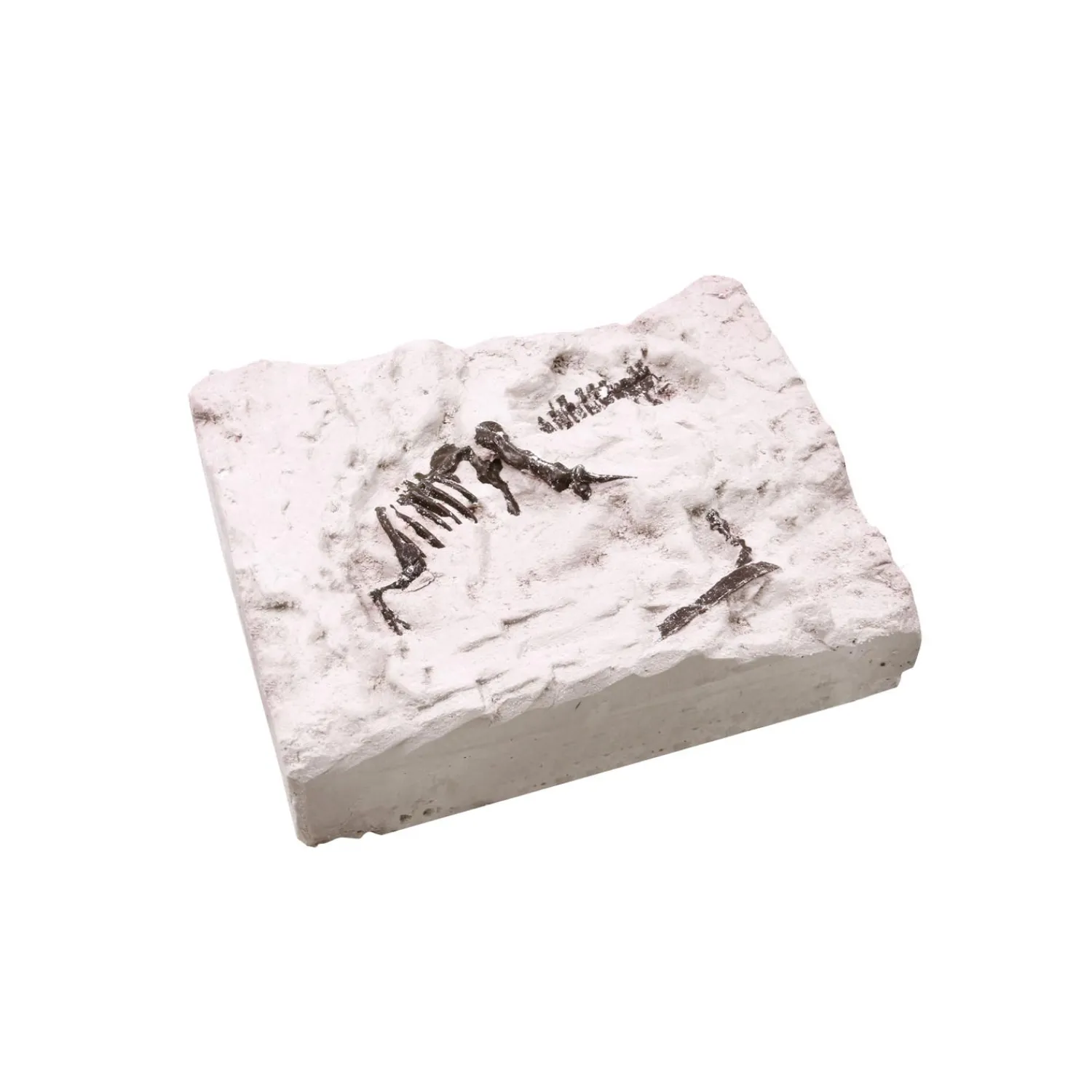 Uitgraafset 'dino fossiel'>World of Dinosaurs Online