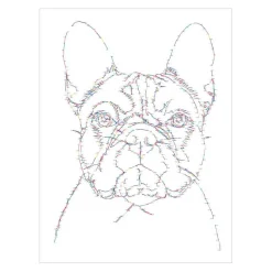 Deltas World of dogs Tekenen van Punt tot Punt New